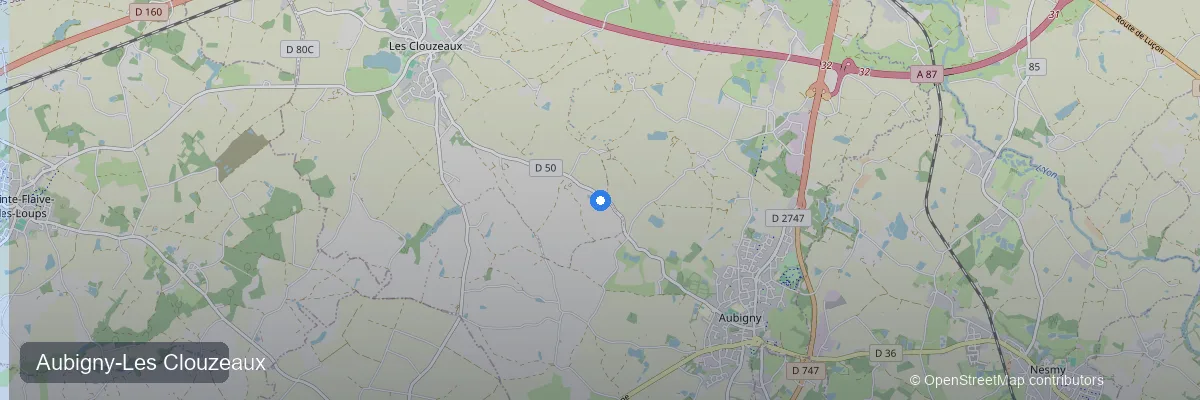 Panneaux solaires à Aubigny-Les Clouzeaux (85430) : prix, aides et rentabilité 2026