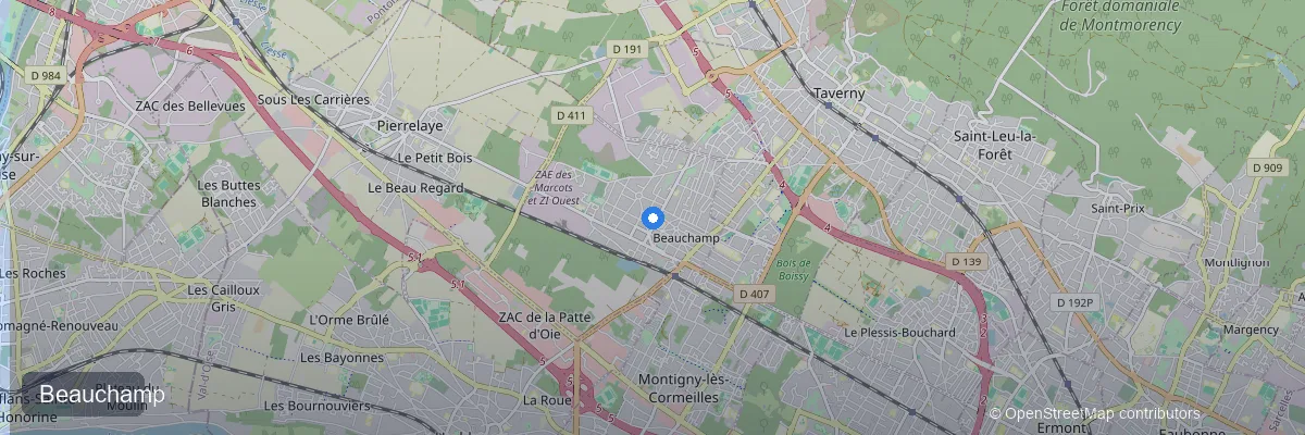 Panneaux solaires à Beauchamp (95250) : prix, aides et rentabilité 2026
