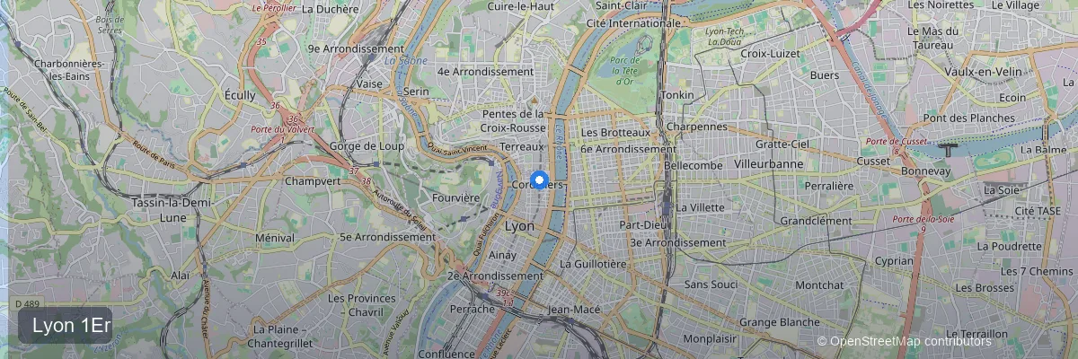 Panneaux solaires à Lyon 1er (69001) : prix, aides et rentabilité 2026