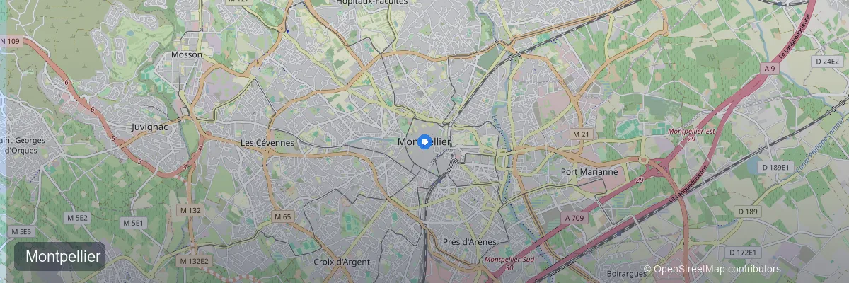 Installation de panneaux solaires à Montpellier : le soleil à plein régime
